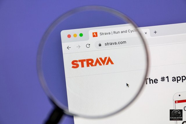 Strava Premium Kena PPN 11%, DJP Tambah Daftar Pemungut Pajak Digital Baru