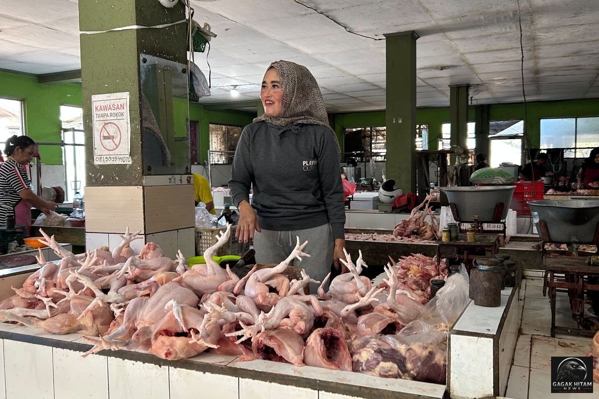 Harga Bumbu Dapur dan Sayuran Anjlok, Petani Tertekan di Tengah Libur Sekolah dan Penghentian Sementara Program MBG