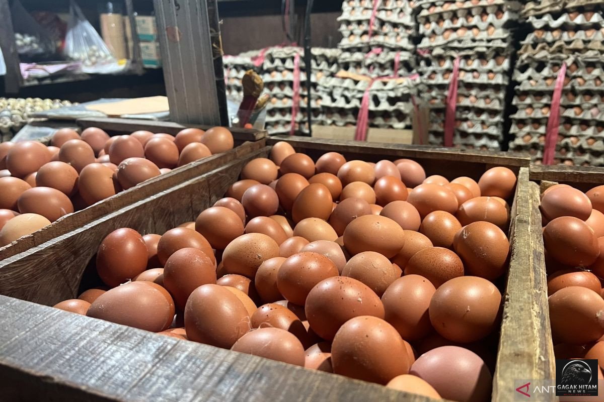 Harga Telur Naik ke Rp25.000/kg, Bawang Merah Turun, Cabai Rawit Masih Mahal