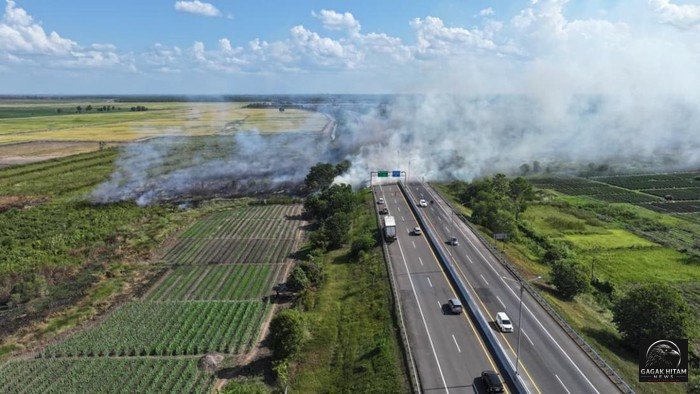 Kebakaran Hutan dan Lahan Meluas di Sumatra Selatan, Lebih dari 60 Hektare Lahan di Ogan Ilir Hangus Terbakar