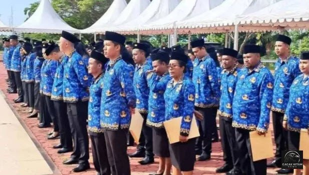 Usulan Pemberhentian PNS, PPPK, dan PPPK Paruh Waktu Dibuka Mulai 1 Agustus 2026, Ini Jadwal dan Ketentuannya