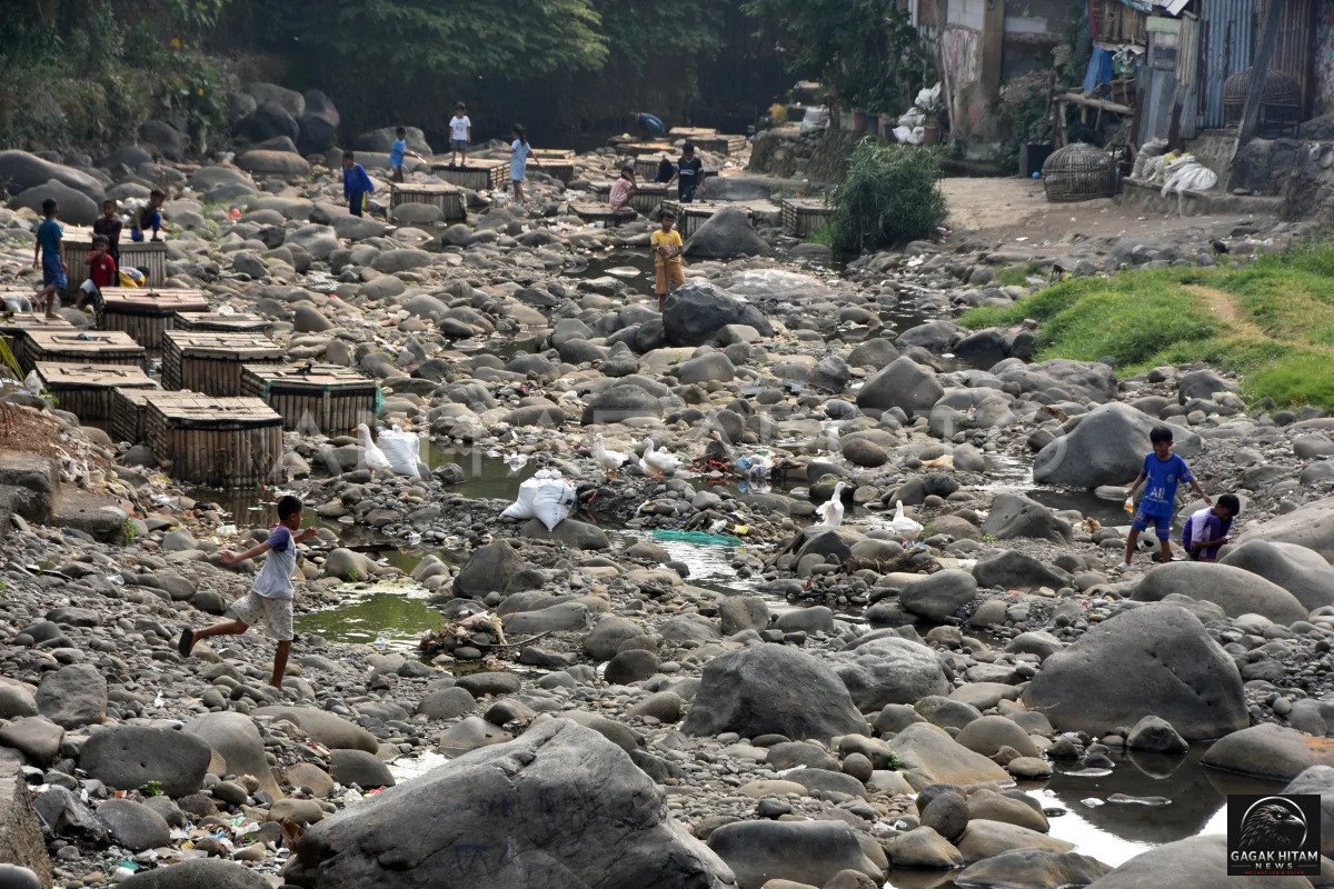 Debit Sungai Ciliwung di Bogor Menyusut Akibat Kemarau, Dasar Sungai Dipenuhi Batuan dan Sampah