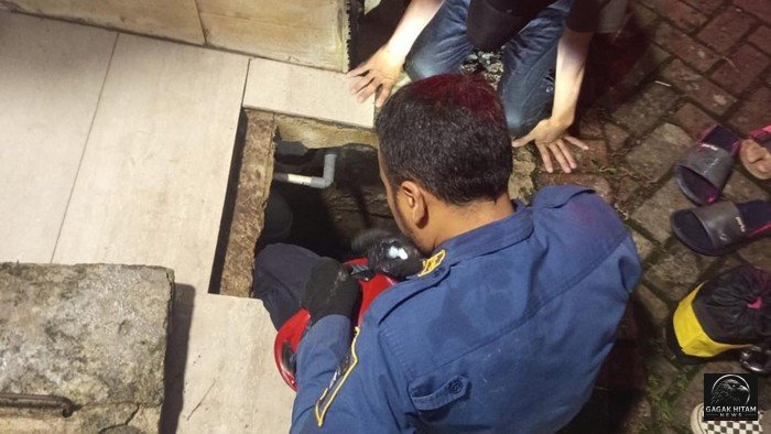 Pria Terjebak di Gorong-gorong Sempit Saat Bersihkan Saluran Air di Bogor, Dievakuasi Damkar