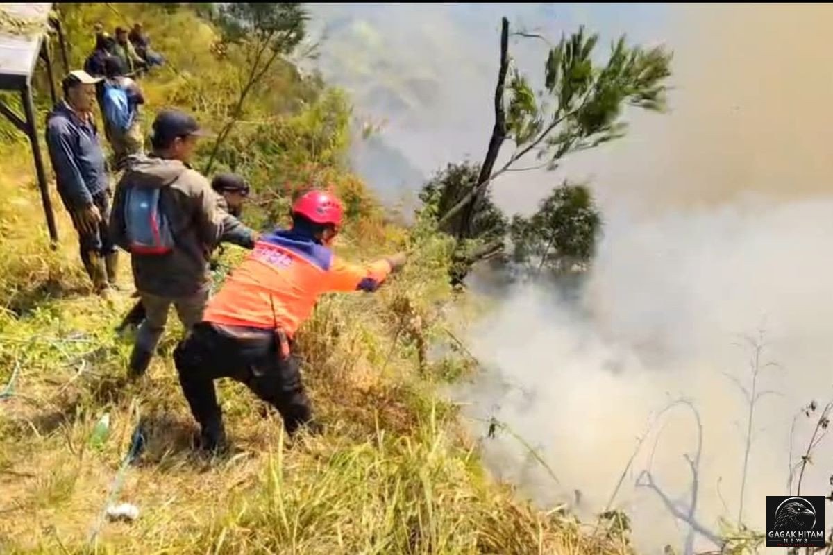 Kebakaran di Kawasan Gunung Bromo Meluas, BNPB Siapkan Dua Helikopter Pemadaman