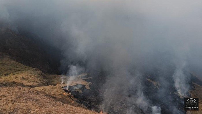 Karhutla Kaldera Bromo Meluas, 120 Hektare Kawasan TNBTS Terdampak dan Pemadaman Gunakan Helikopter Water Bombing