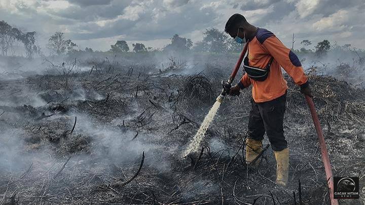 Karhutla Meluas, Kabut Asap Mulai Selimuti Sejumlah Daerah di Tengah Ancaman El Nino Super