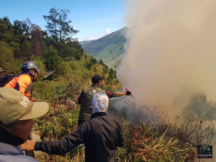 Medan Curam Hambat Pemadaman Karhutla di TNBTS, Petugas Berjuang Cegah Api Meluas