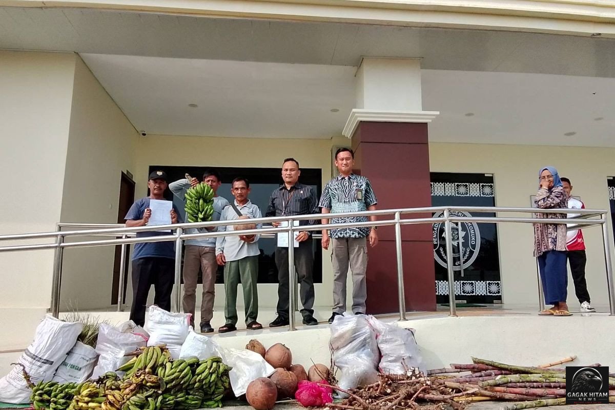 Tak Mampu Bayar Denda Rp 3 Miliar, Tiga Petani Mukomuko Bawa Pisang, Kelapa, dan Ubi ke Pengadilan