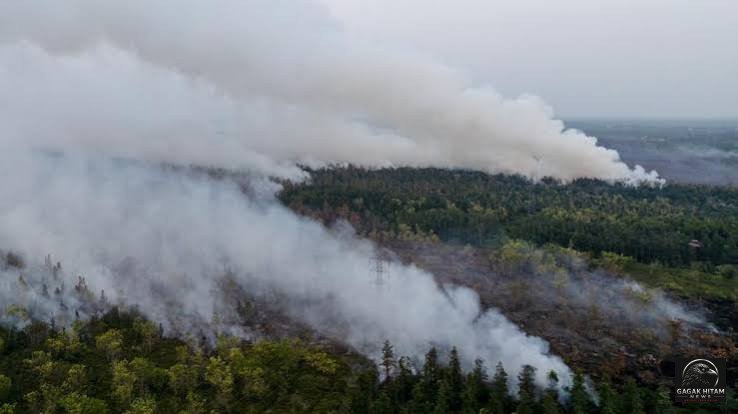 Karhutla Kalimantan Belum Mereda, Ratusan Titik Panas Terdeteksi hingga Asap Capai Malaysia dan Singapura