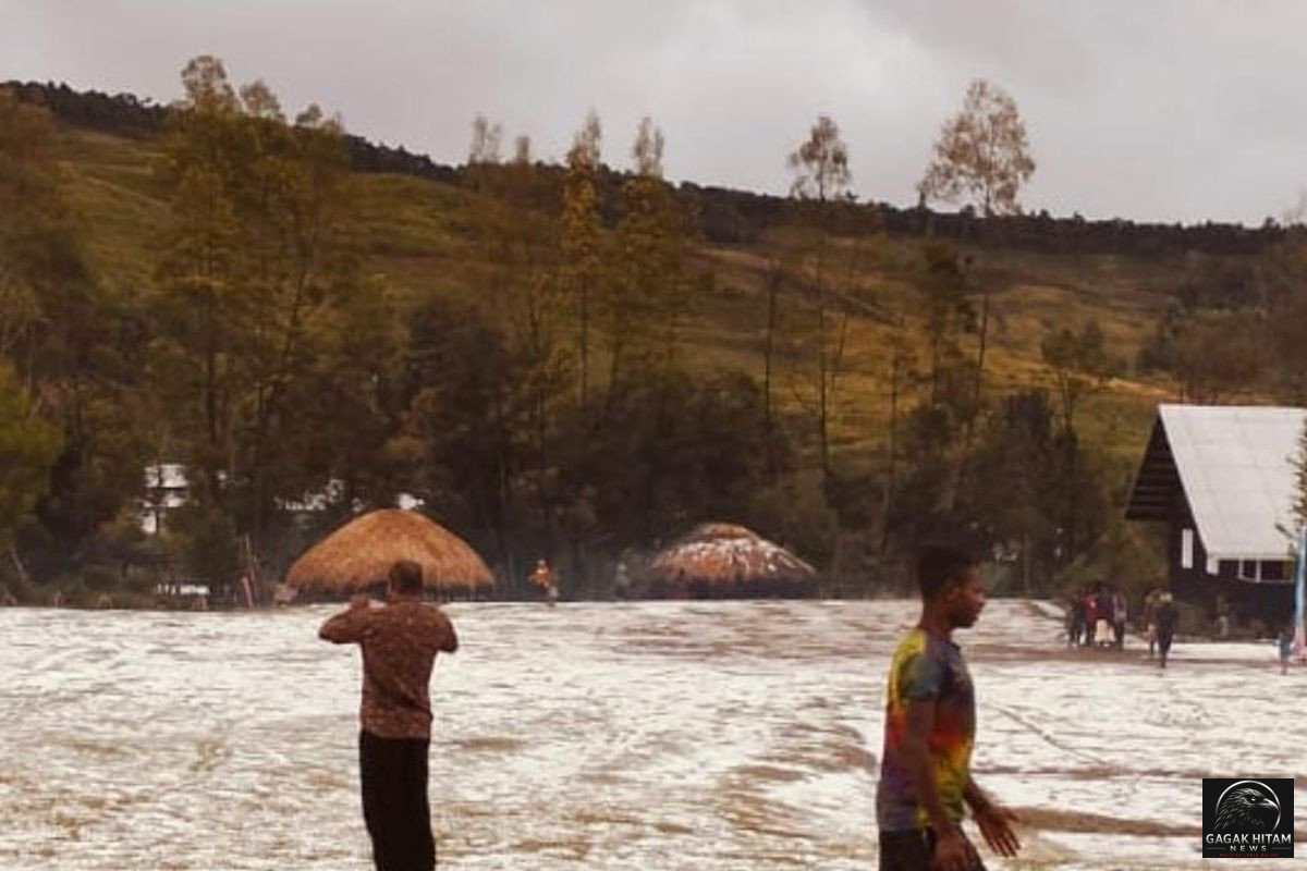 Hujan Es Terjang Tiga Distrik di Lanny Jaya, Tanaman Warga Rusak dan Picu Ancaman Krisis Pangan
