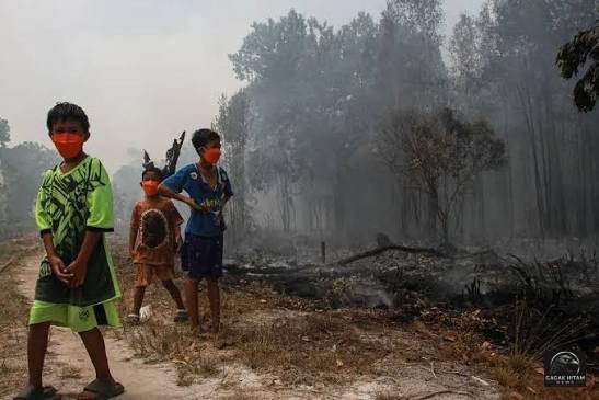 Kabut Asap Lintas Batas Memburuk, 591 Sekolah di Sarawak Malaysia Ditutup
