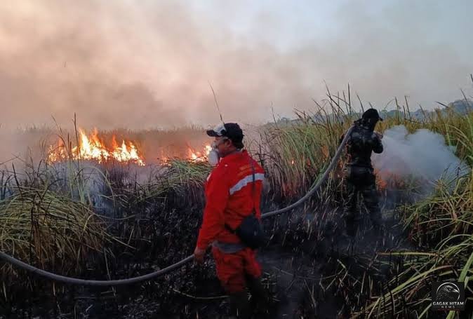 Polri Tetapkan 72 Tersangka Karhutla di Kalimantan dan Sumatra, Diduga Bakar Lahan untuk Sawit