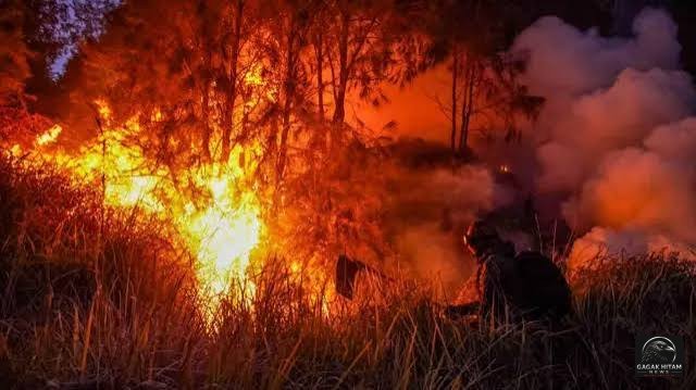 Karhutla Indonesia Makin Mengkhawatirkan, 190.546 Hektar Hutan dan Lahan Terbakar hingga Juni 2026