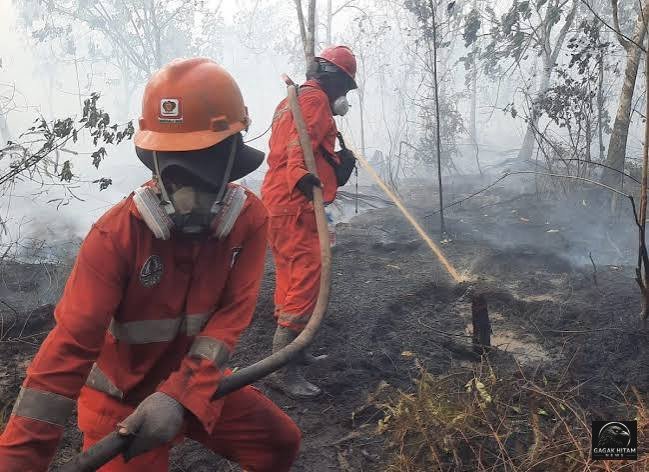 Sumber Air Menyusut, Pemadaman Karhutla di 6 Provinsi Prioritas Hadapi Tantangan Berat