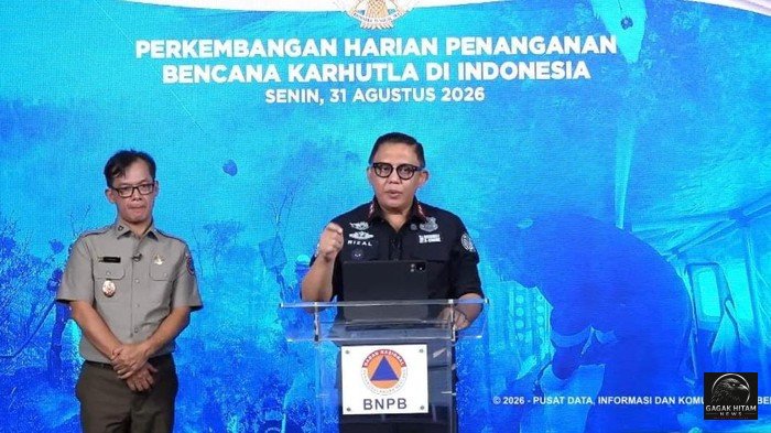 KLH Proses 19 Perusahaan Terkait Karhutla, Total Lahan Terbakar Capai 11.046 Hektare